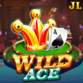 Wild Ace Scatter App